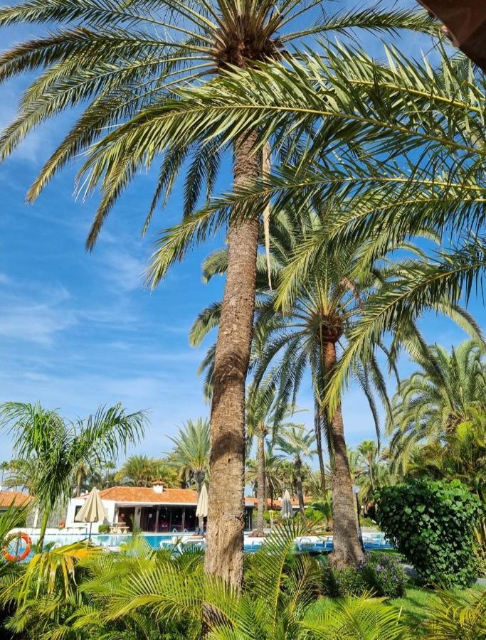 Sun Club P65 Premium Сasa de vacaciones Maspalomas (Gran Canaria)