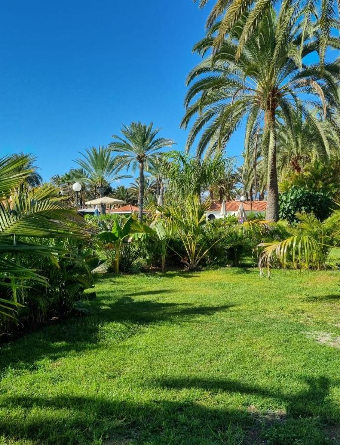 Сasa de vacaciones Sun Club P65 Premium