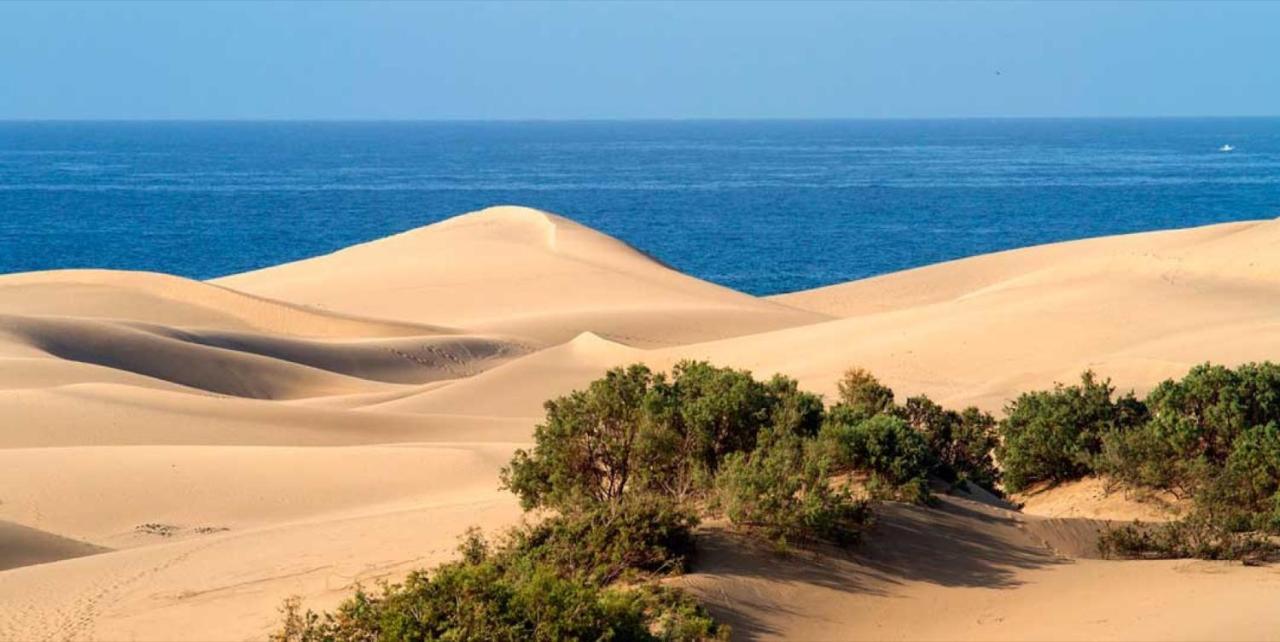Moderno Triplex Sonneland Appartamento Maspalomas (Gran Canaria)