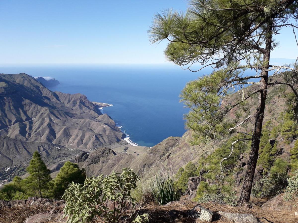 Taidia Tropical * Maspalomas (Gran Canaria)