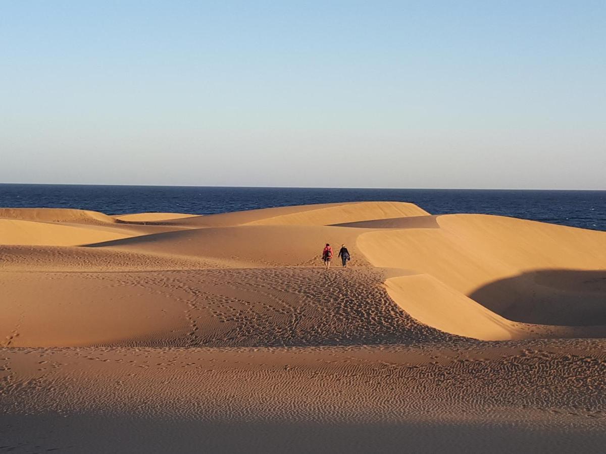 Taidia Tropical * Maspalomas (Gran Canaria)