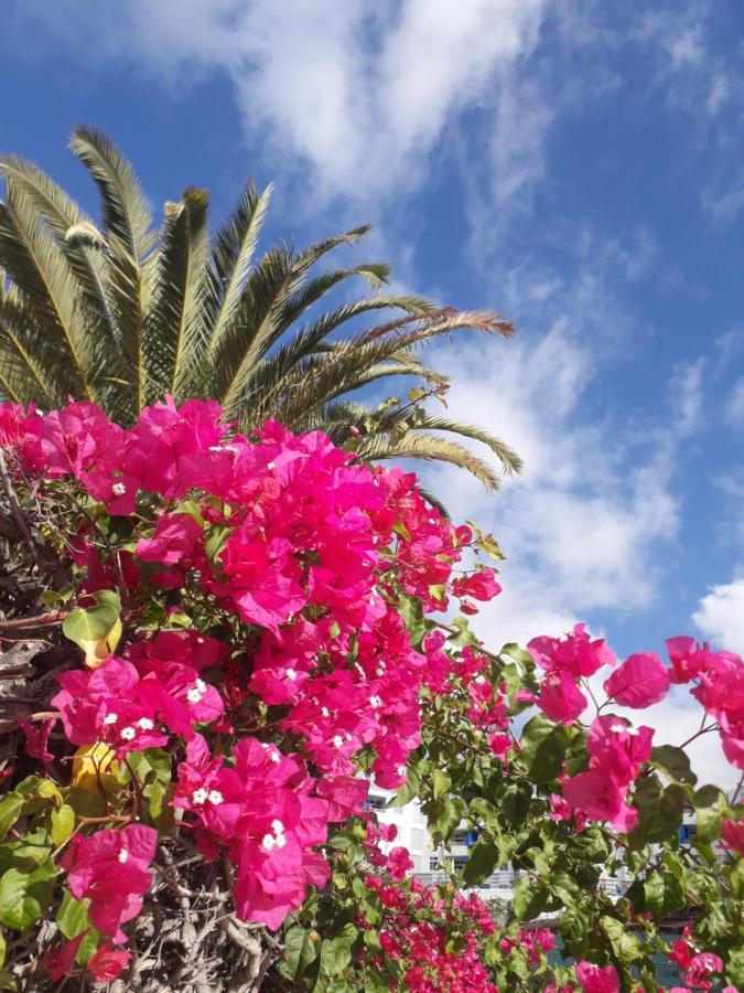 Apartamento Taidia Tropical *