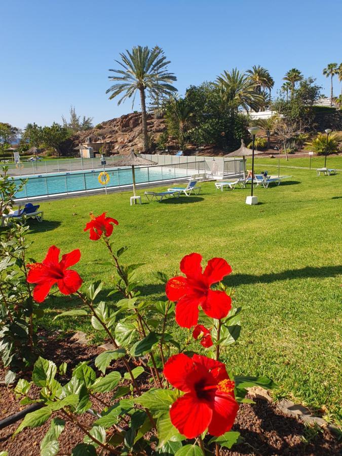 Casa Panorama 314 Maspalomas Appartamento San Agustín