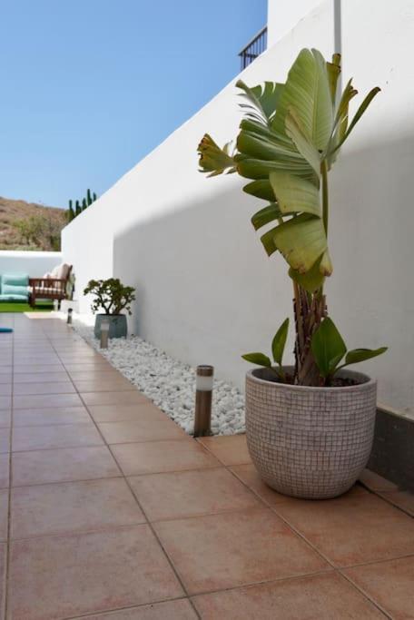 Casa Notas De Color Y Sal * Agaete (Gran Canaria)