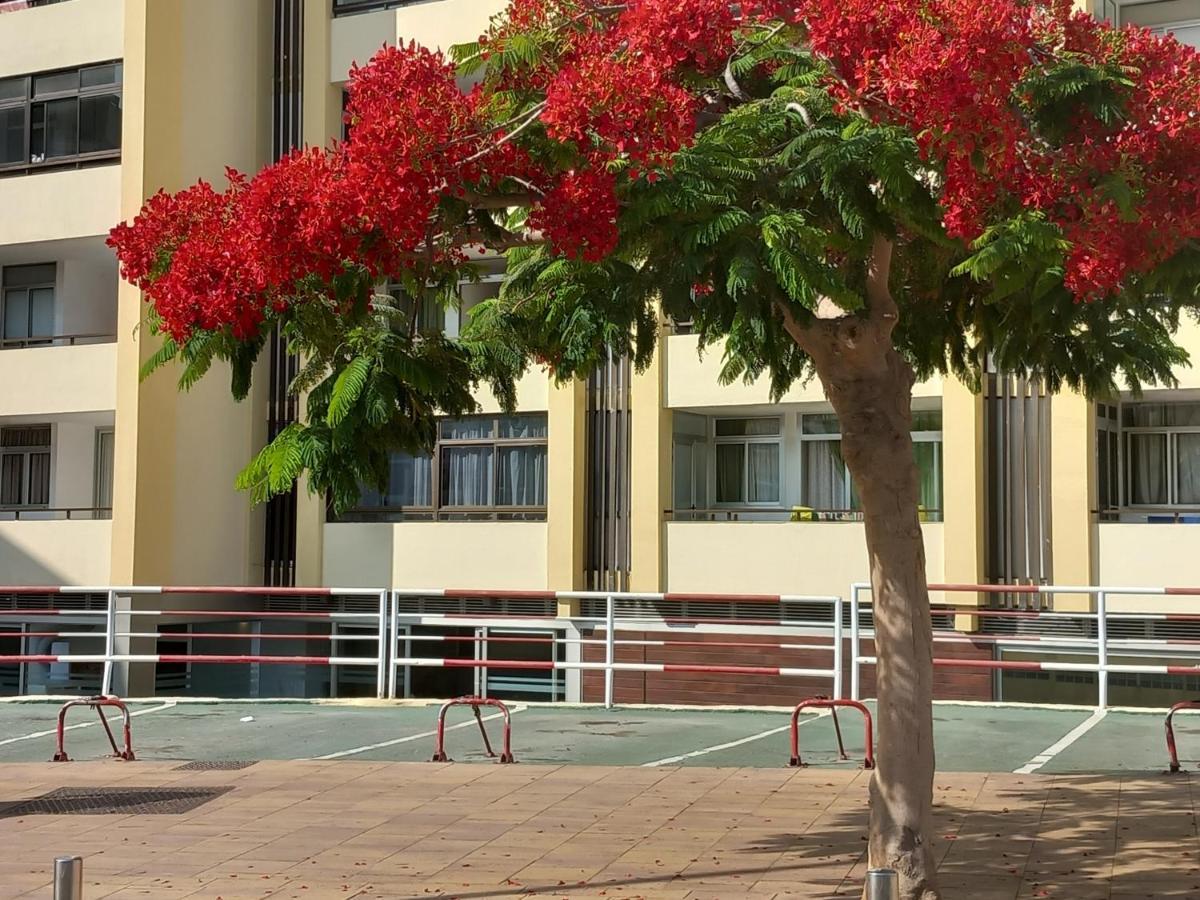 Tropical House Near Beach&yumbo Appartamento San Bartolomé