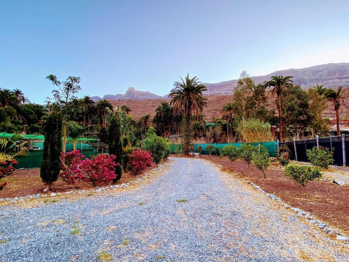 Finca Laxmi *