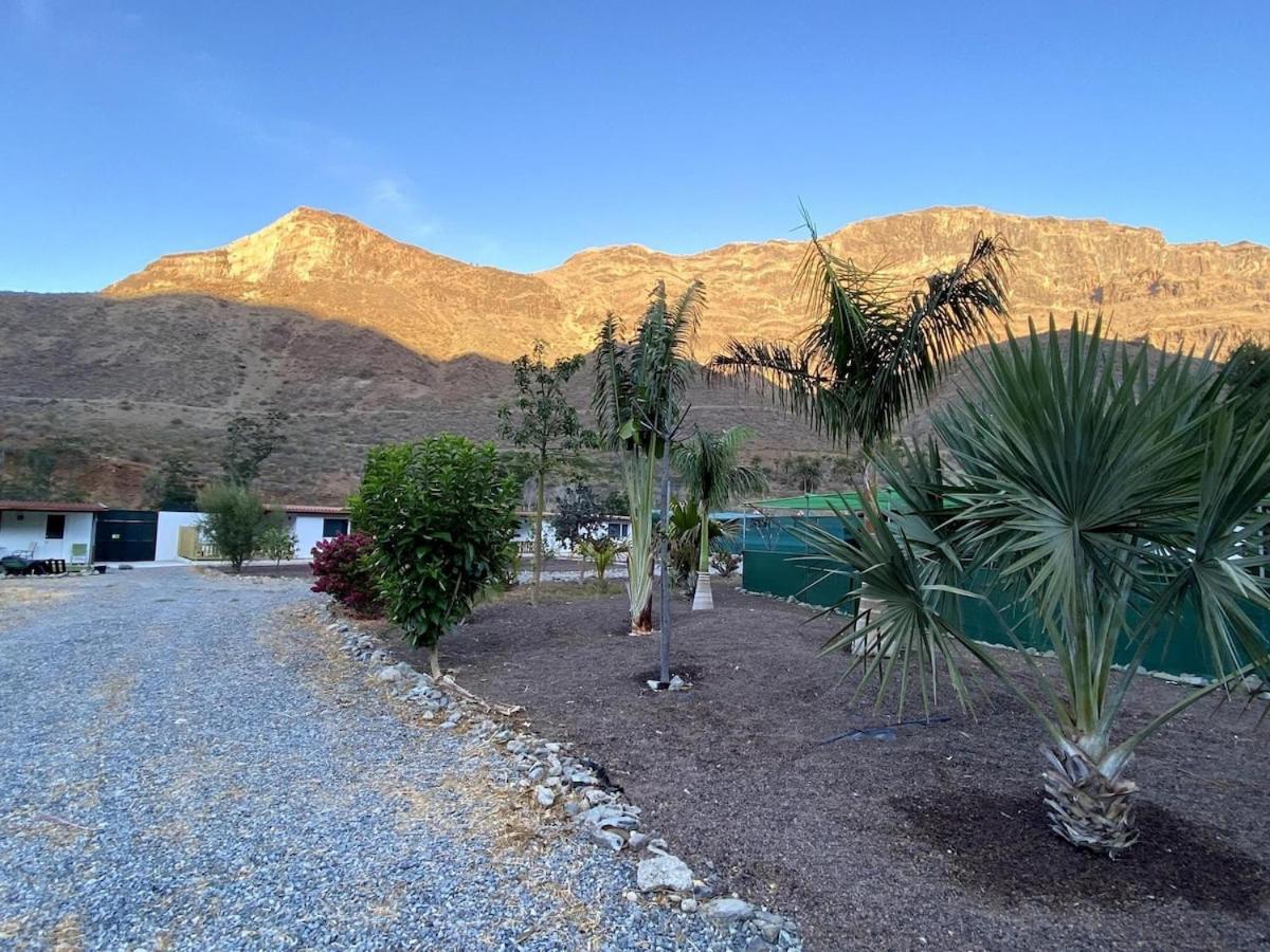Apartment Finca Laxmi *
