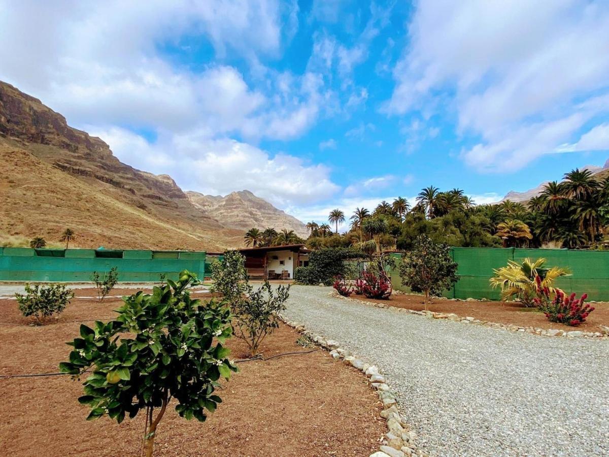 Finca Laxmi Apartment Fataga