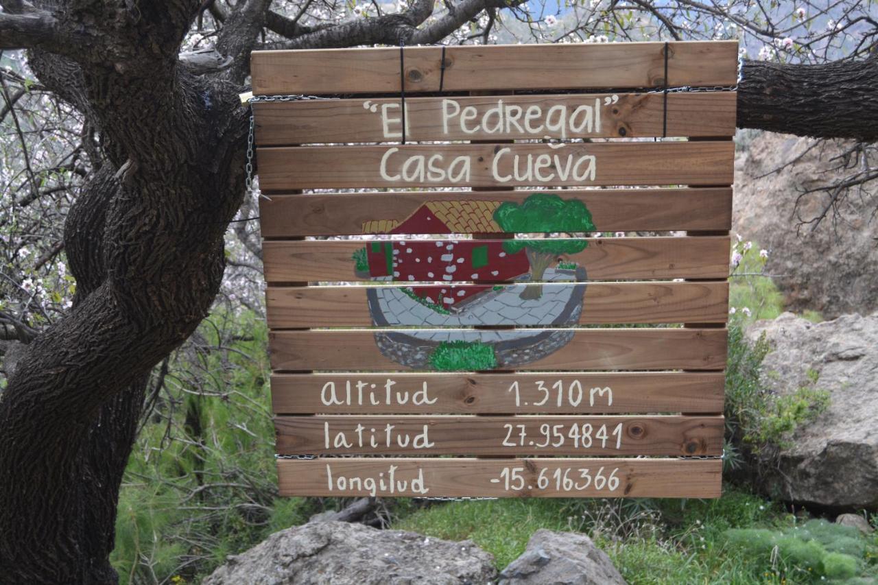 Casa Cueva El Pedregal Holiday home Tejeda (Gran Canaria)