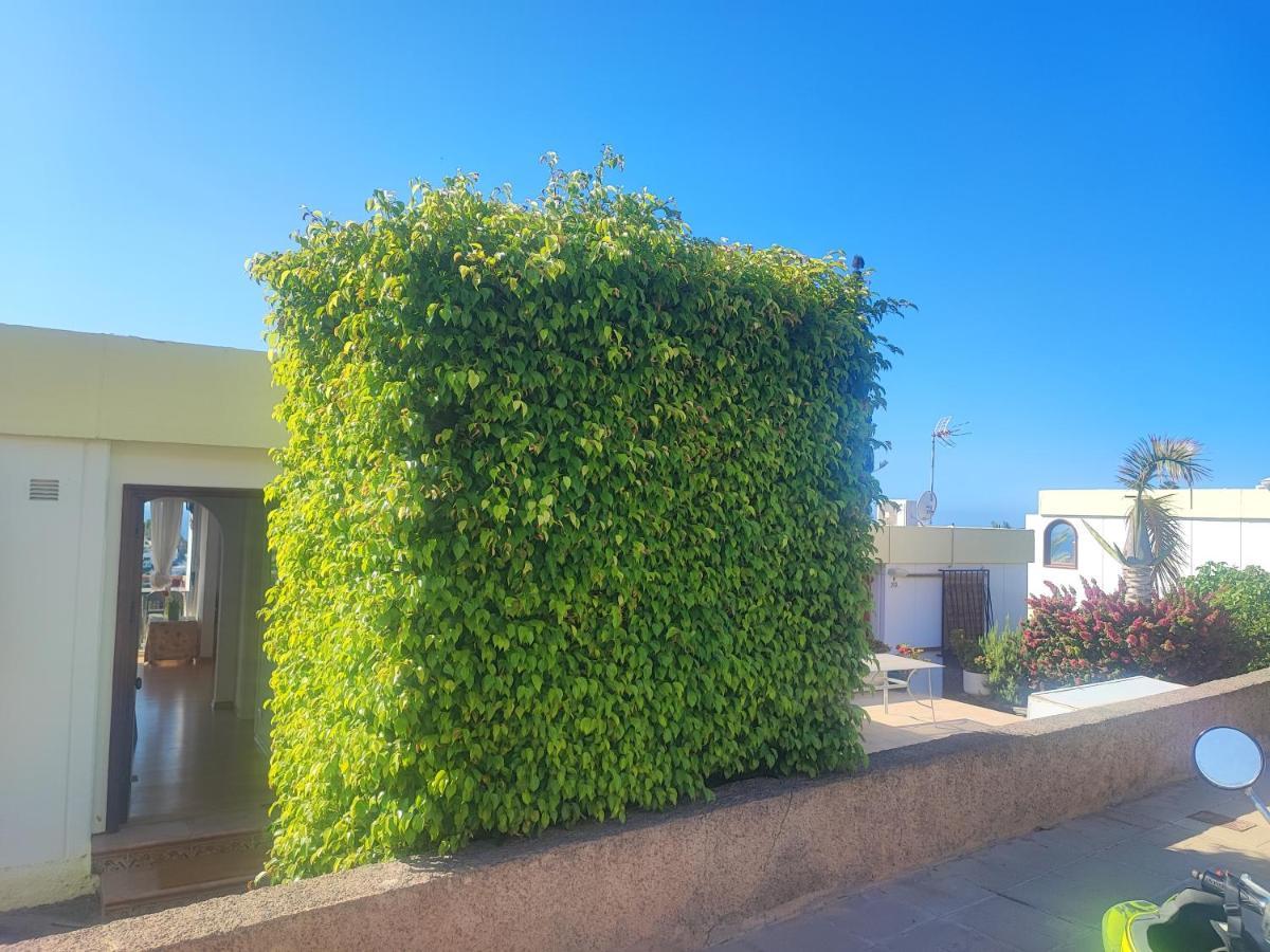 Casa Panorama 314 Maspalomas Appartamento San Agustín