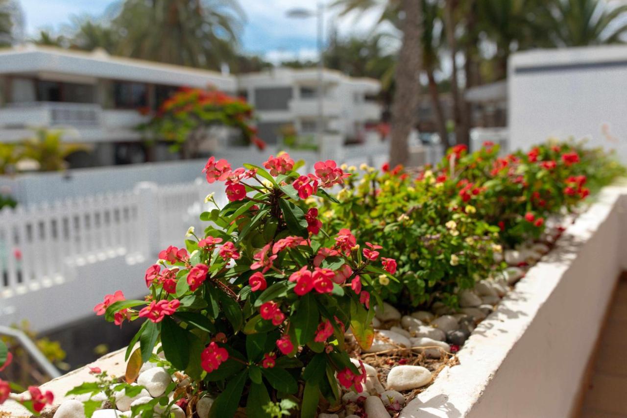 Apartment Maypa 2 Salitre *