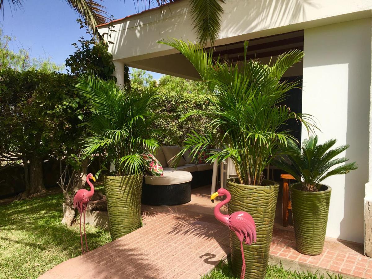 Appartamento Luxury Bungalow”paradise Birds” Maspalomas (Gran Canaria)