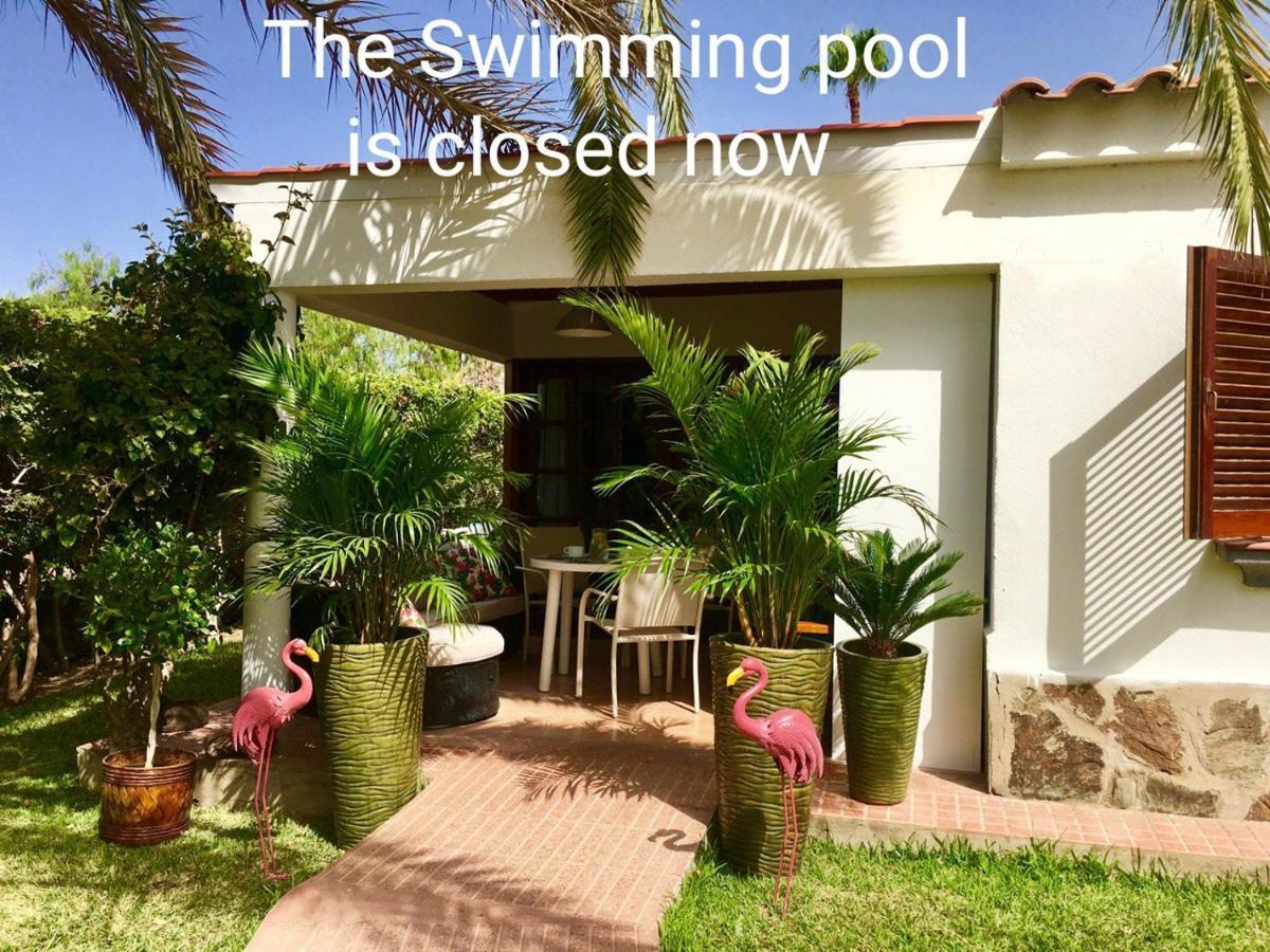 Luxury Bungalow”paradise Birds” Appartamento Maspalomas (Gran Canaria)