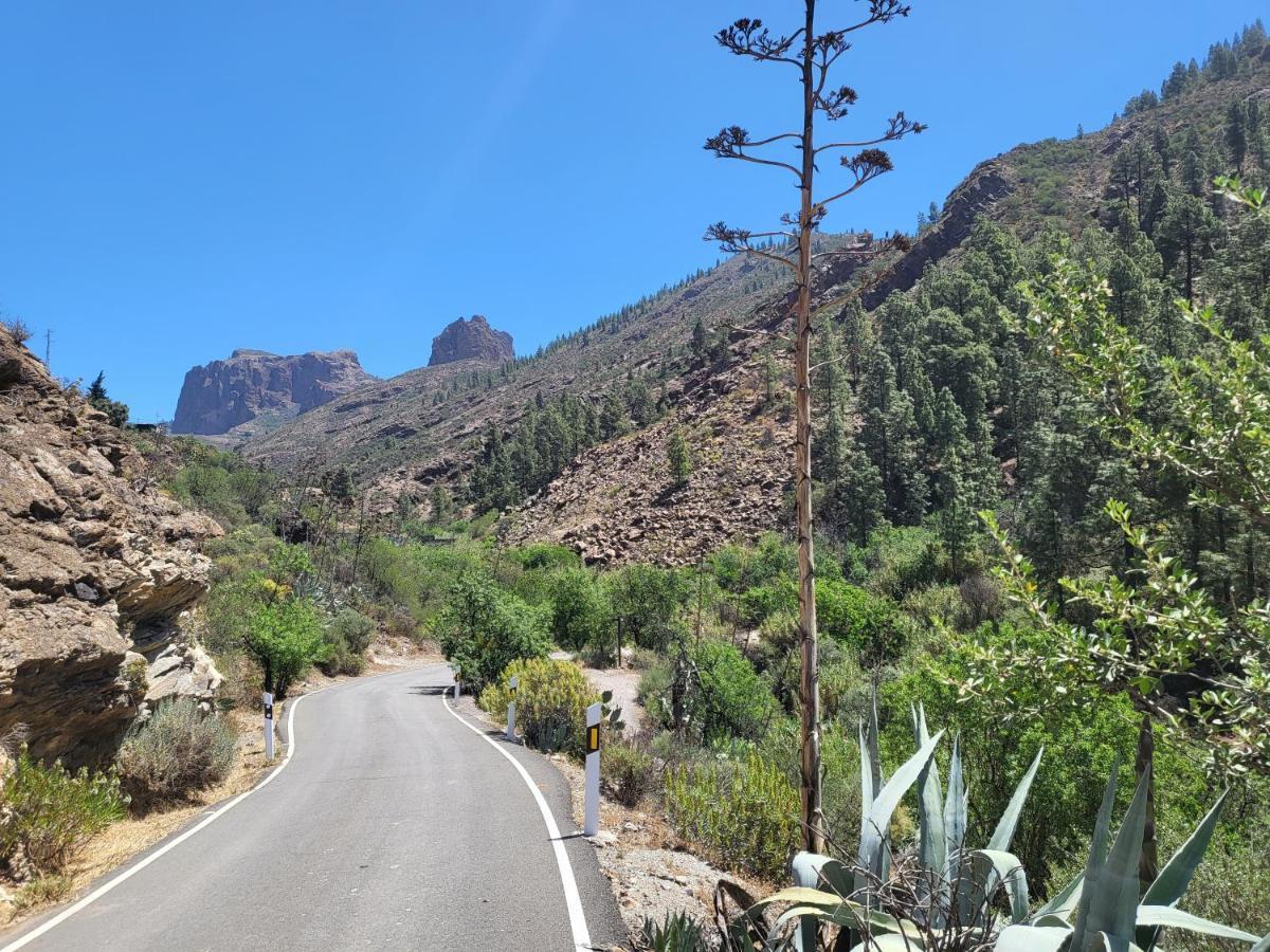 Pinares El Juncal De Tejeda Сasa de vacaciones Tejeda (Gran Canaria)