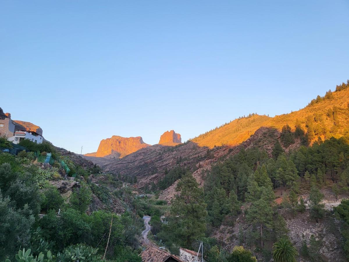 Pinares El Juncal De Tejeda Tejeda (Gran Canaria)