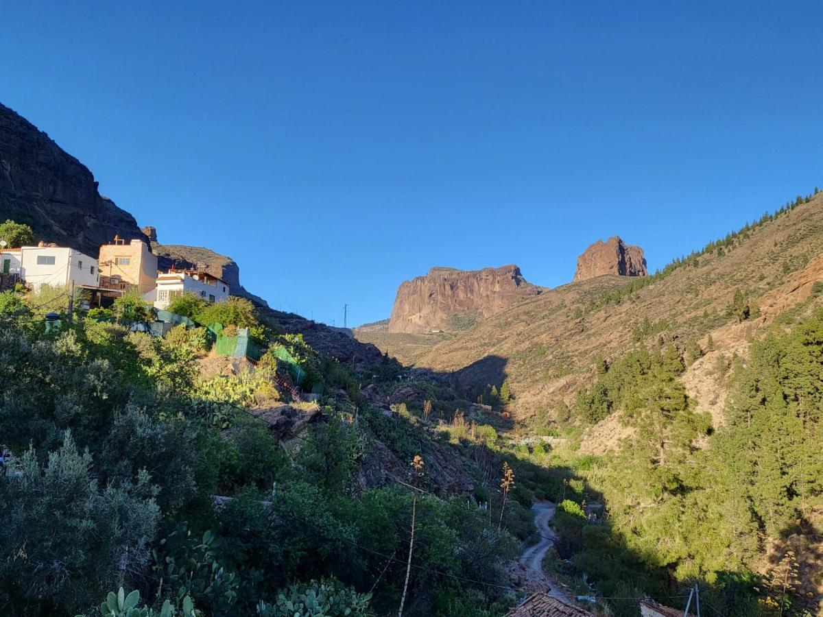 Pinares El Juncal De Tejeda *