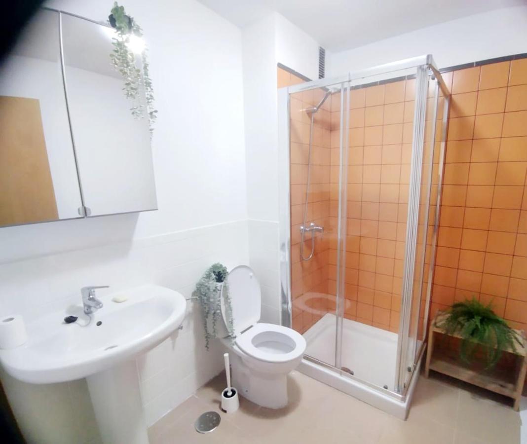 Apartment Greenhouse Sardina
