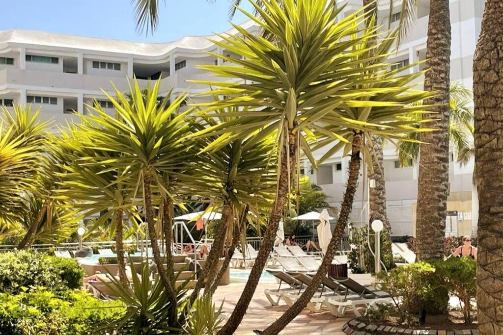 Apartamento Dreams In Playa Del Ingles