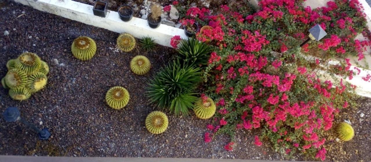 Appartamento Beautiful 2 Bedroom Near Puerto Rico *