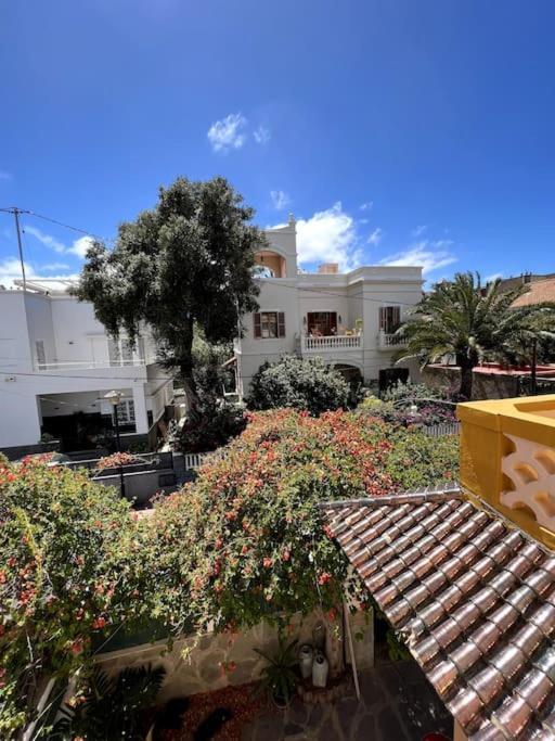 Villa Colonial In Palmas