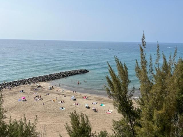 Holiday