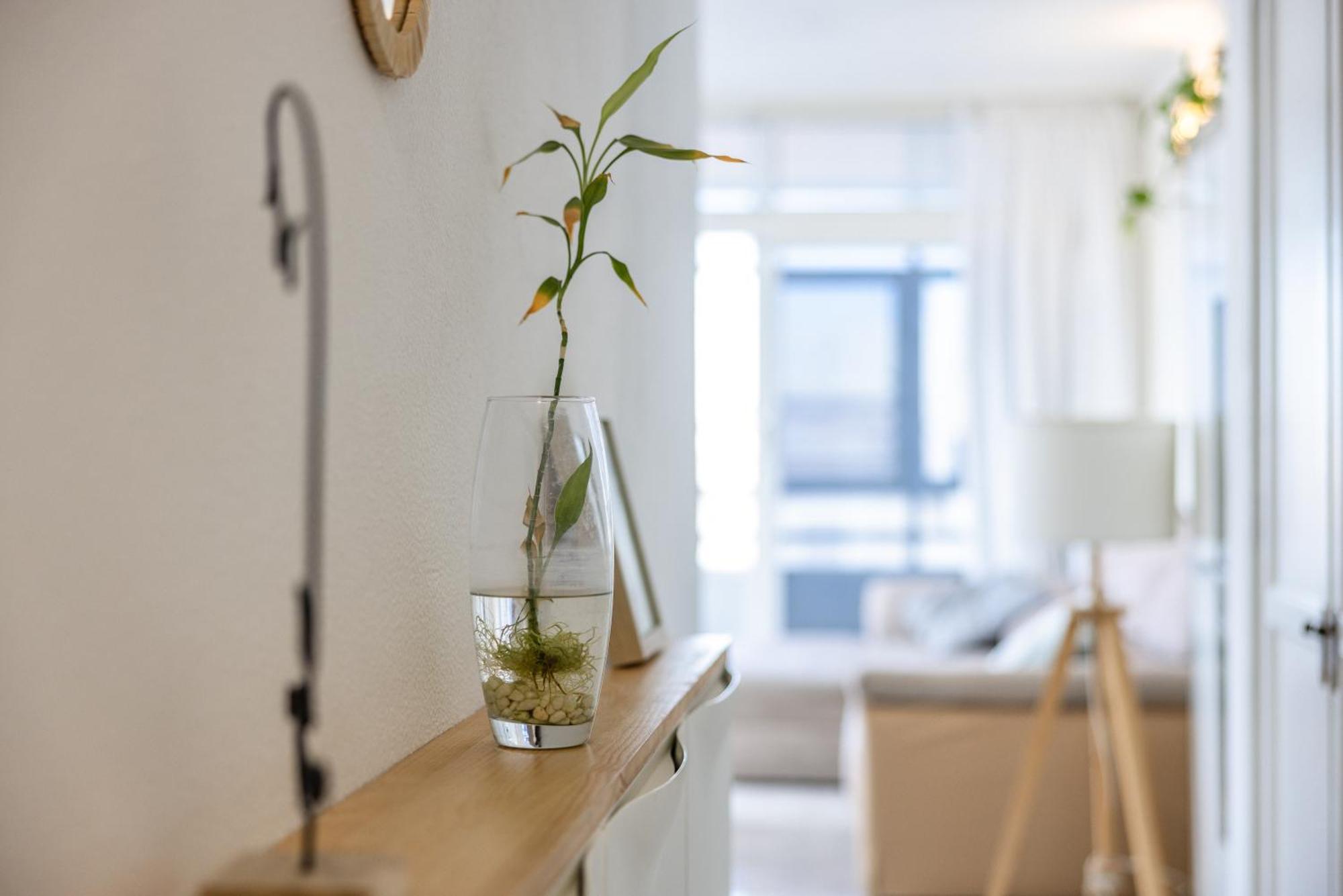 Appartamento Leo's House Las Palmas de Gran Canaria