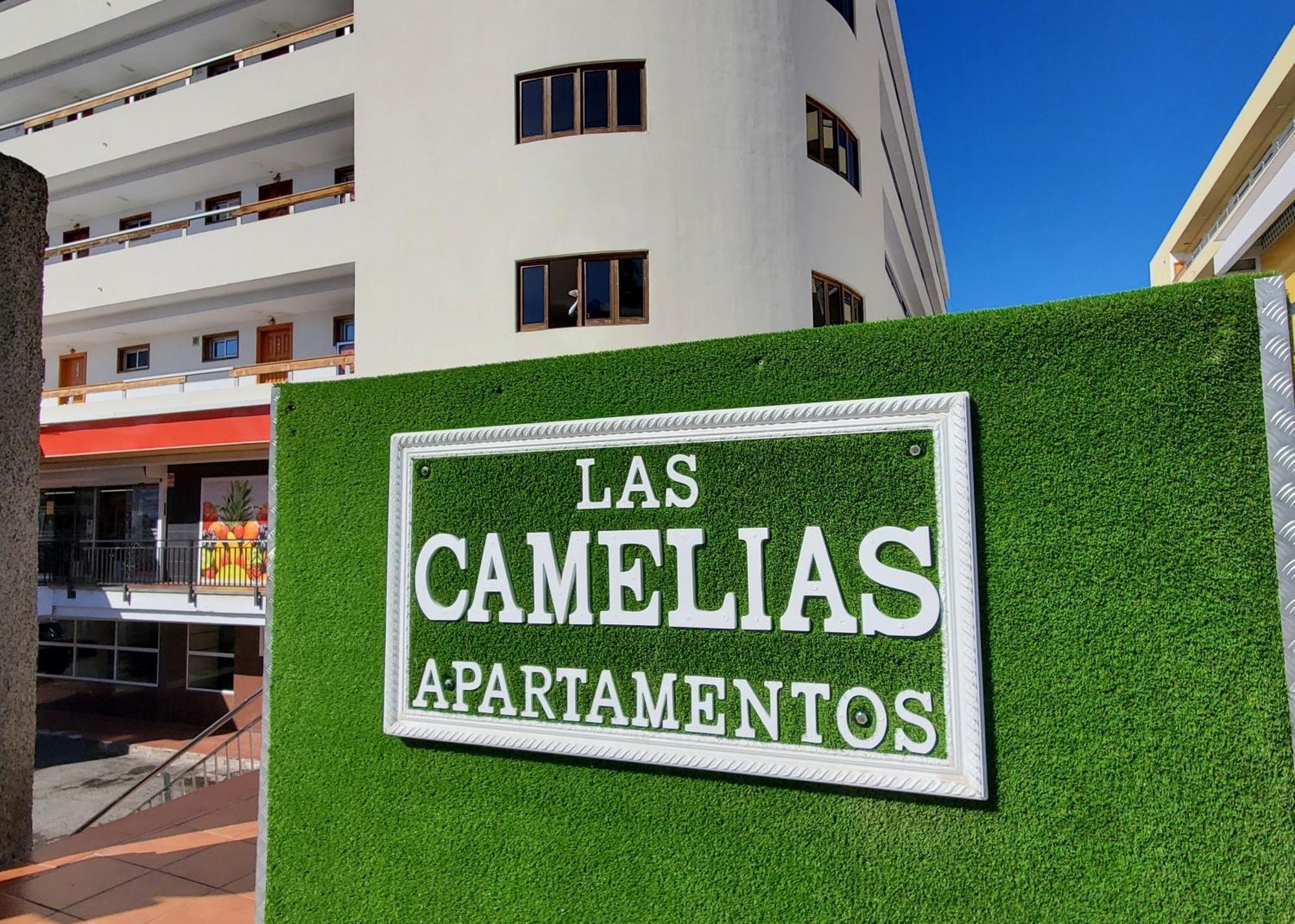 Apartamento Camelias - -017 *