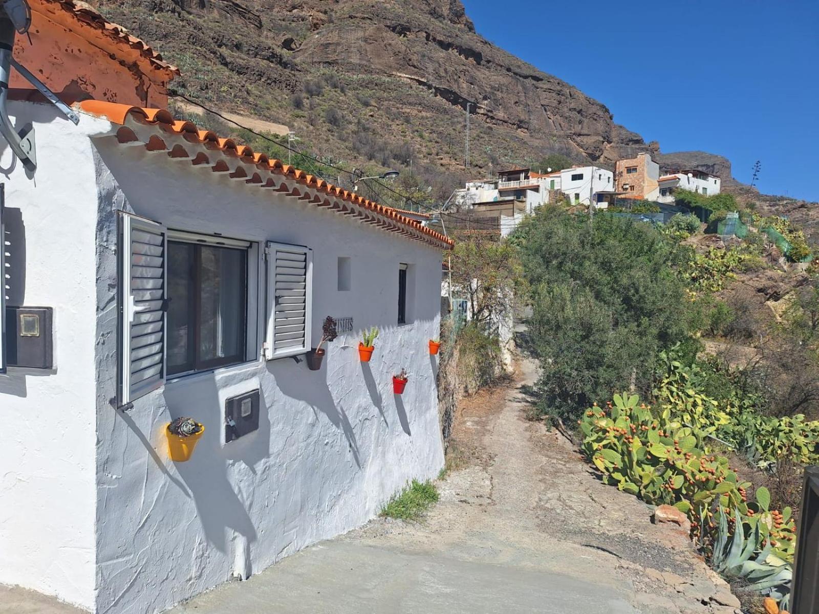 Pinares El Juncal De Tejeda * Tejeda (Gran Canaria)
