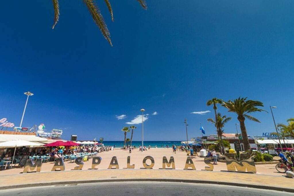 Valparaiso Flamingo