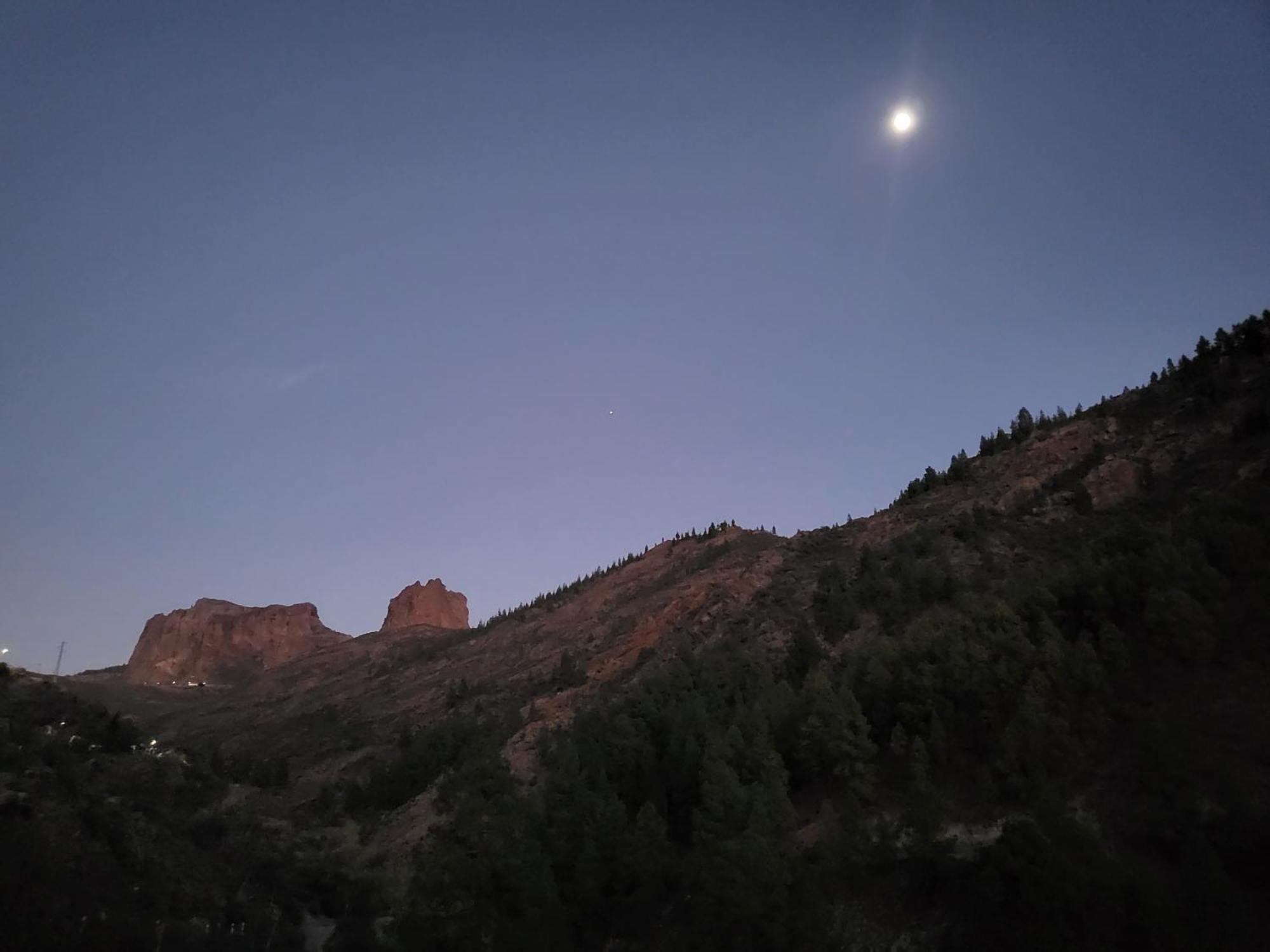 Pinares El Juncal De Tejeda * Tejeda (Gran Canaria)