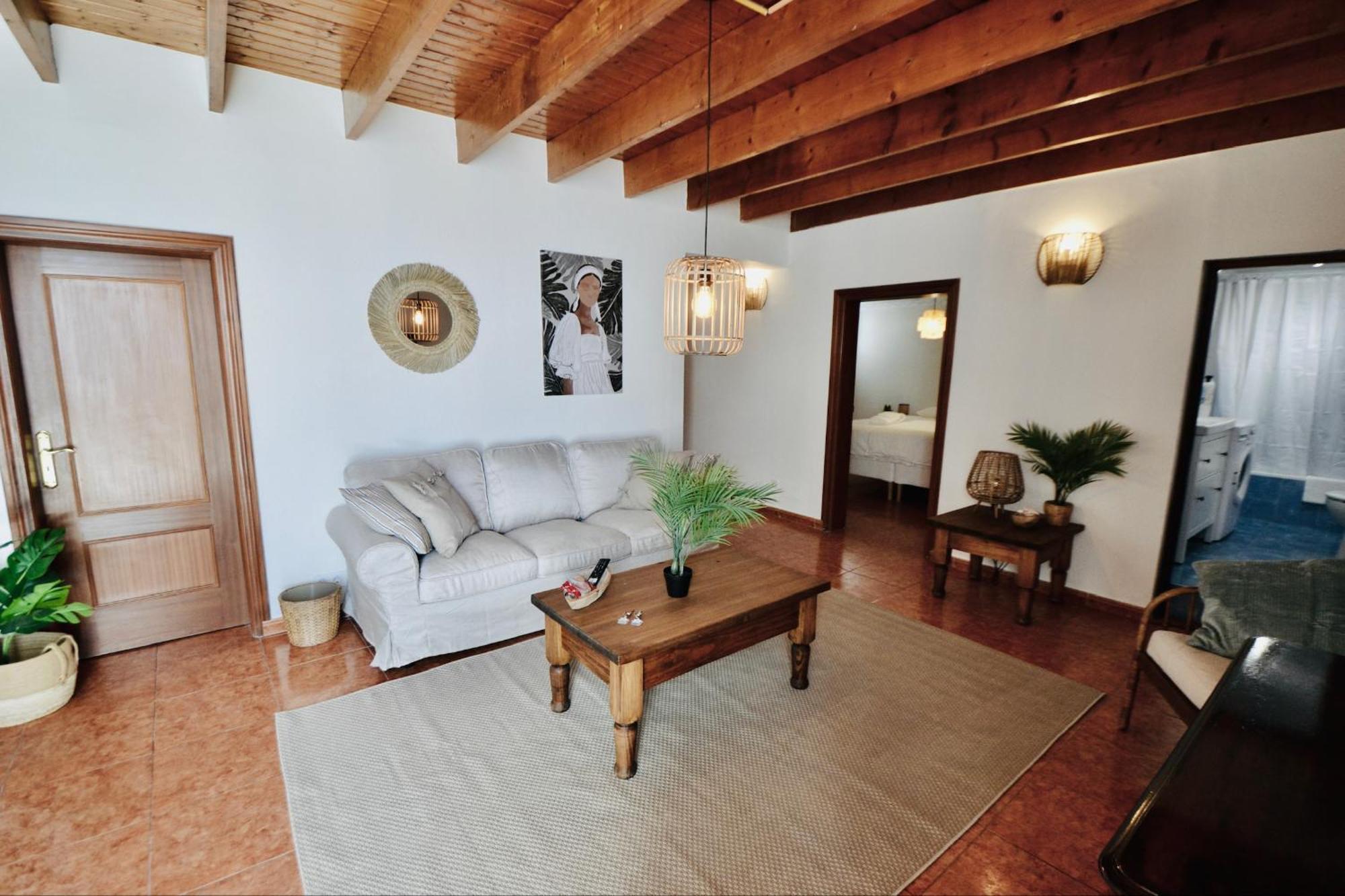Apartment Palm Leaf Mogan