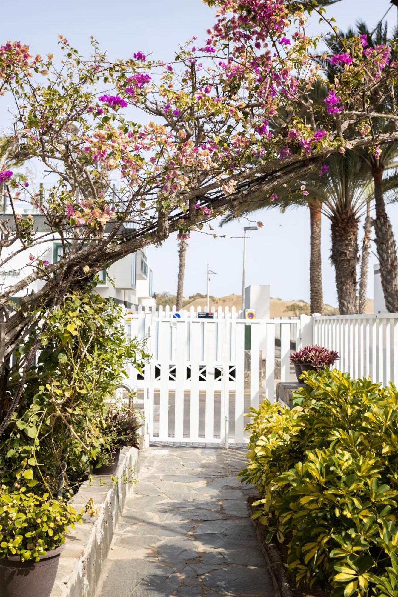 Maspalomas Oasis