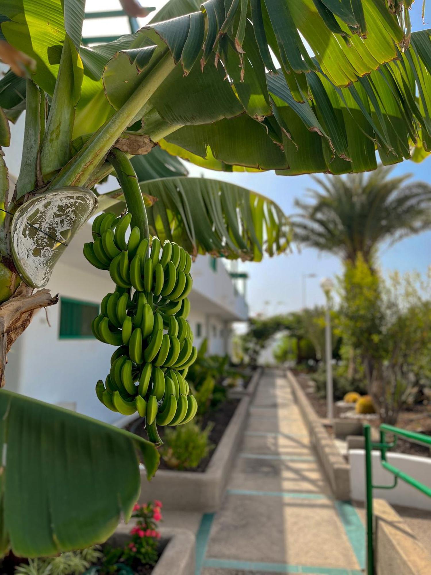 Beautiful Aguycan 120 Playa Del Aguila Gran Canaria