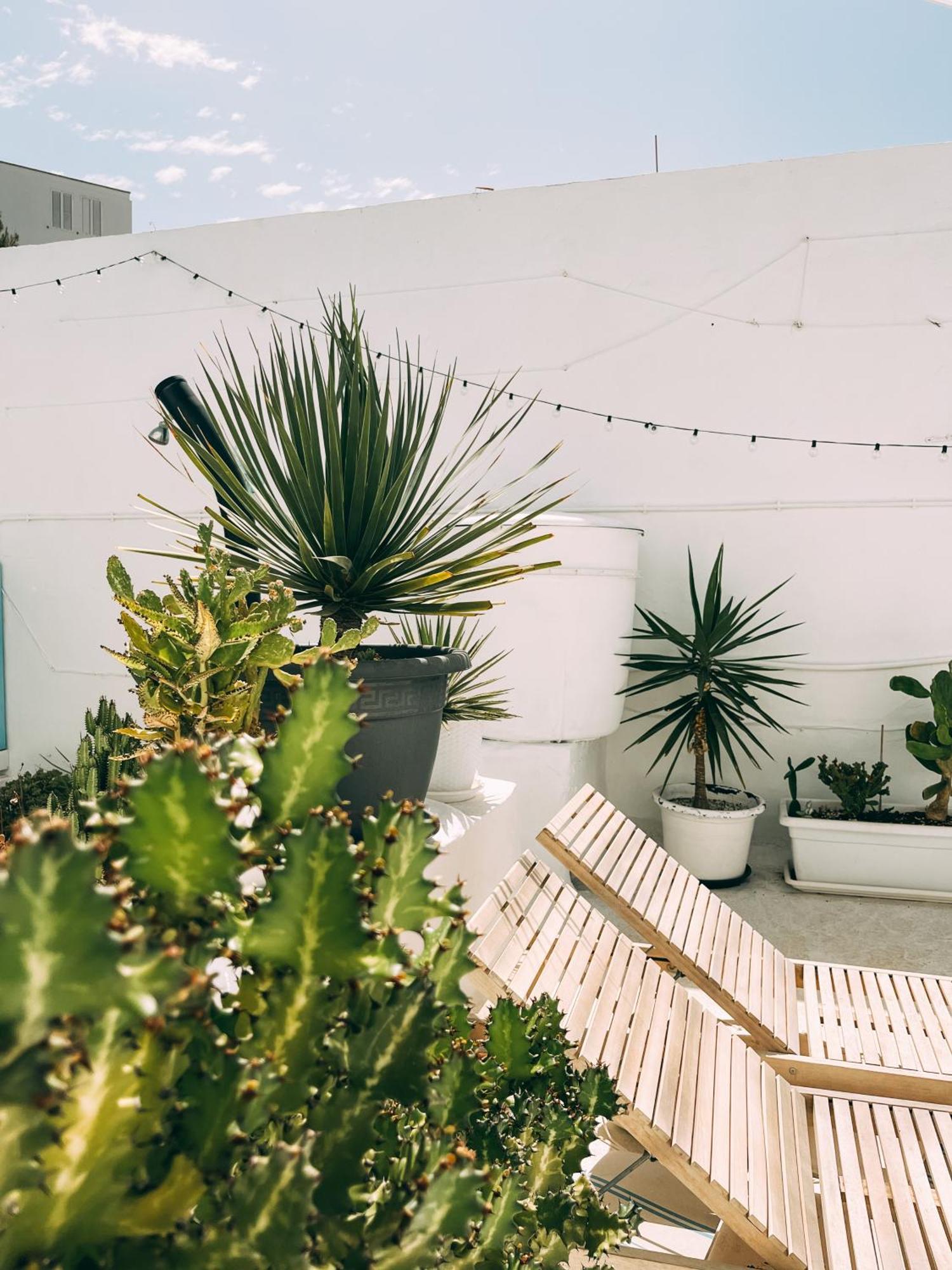 Сasa de vacaciones Cool Canaria Agaete (Gran Canaria)