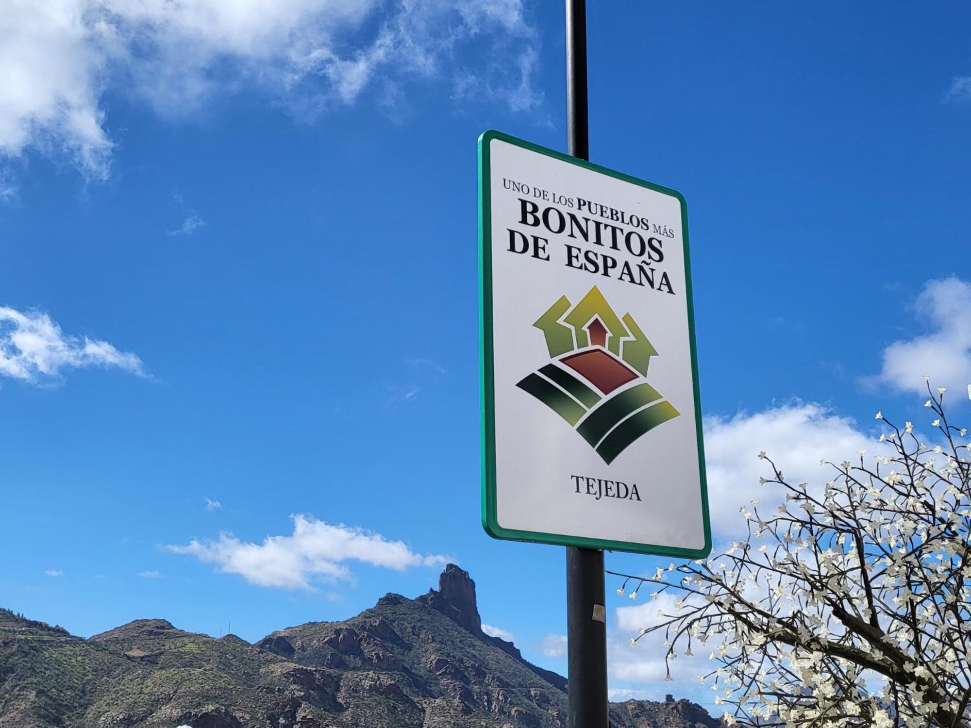 Pinares El Juncal De Tejeda Tejeda (Gran Canaria)