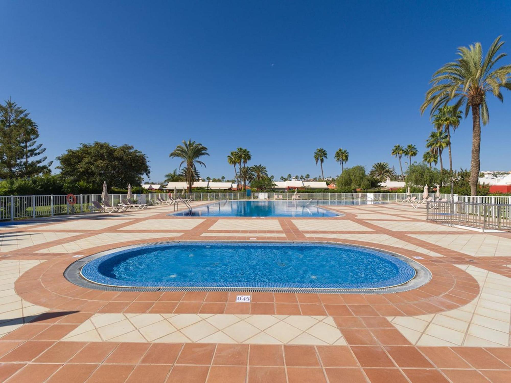 Albaricoques Maspalomas Maspalomas (Gran Canaria)