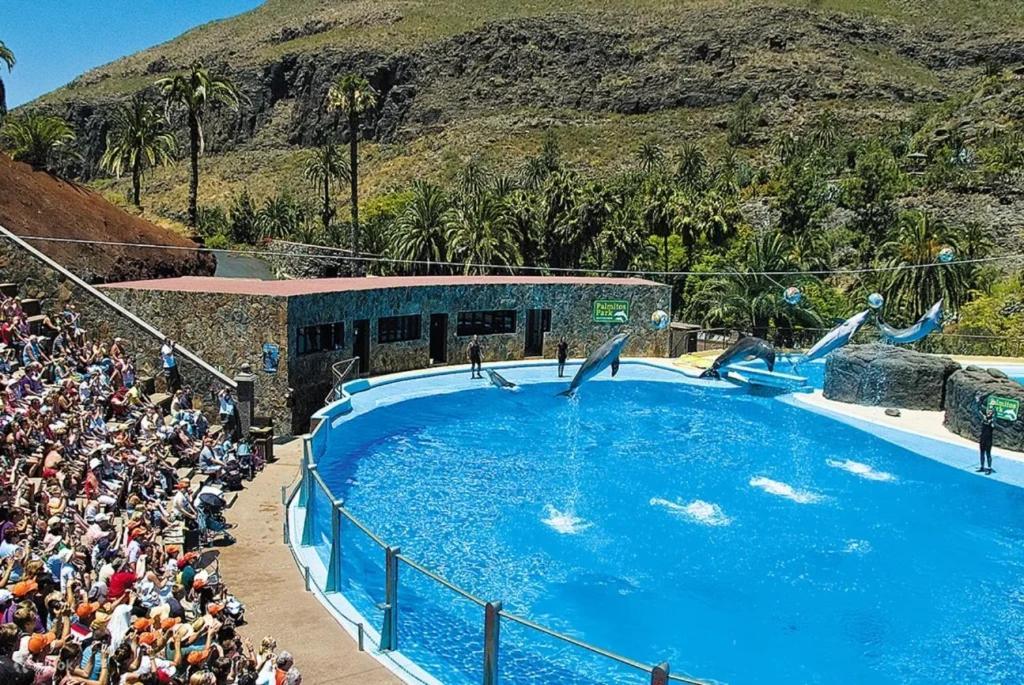 Apartamento En Playa del Inglés