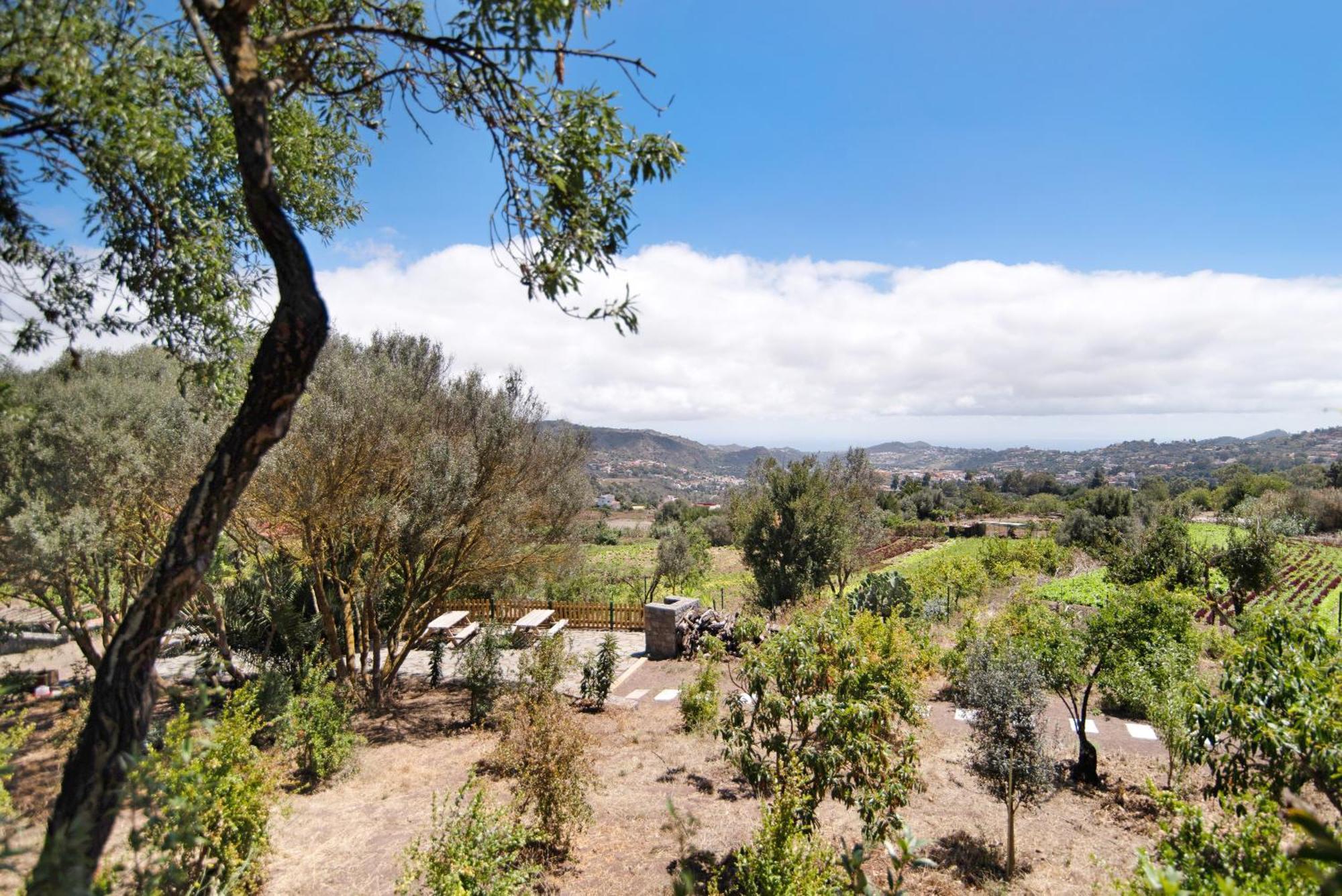 La Casita De La Orilla De Penate