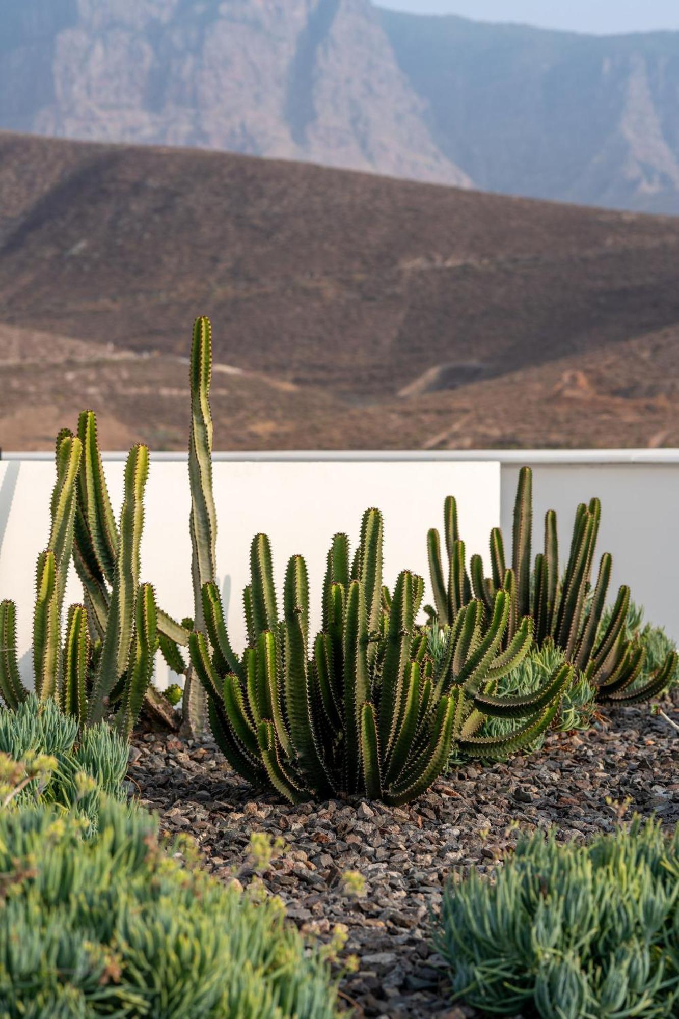 Vivelorural Agaete Great Garden & Pool * Agaete (Gran Canaria)