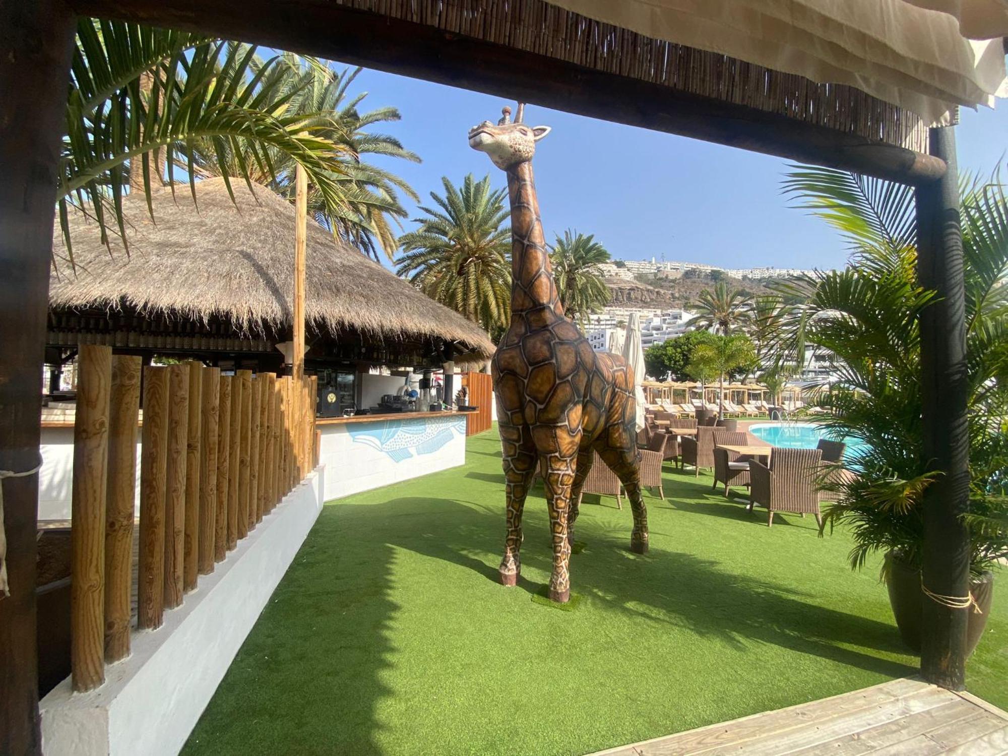 Spacious Family Puerto Rico (Gran Canaria)