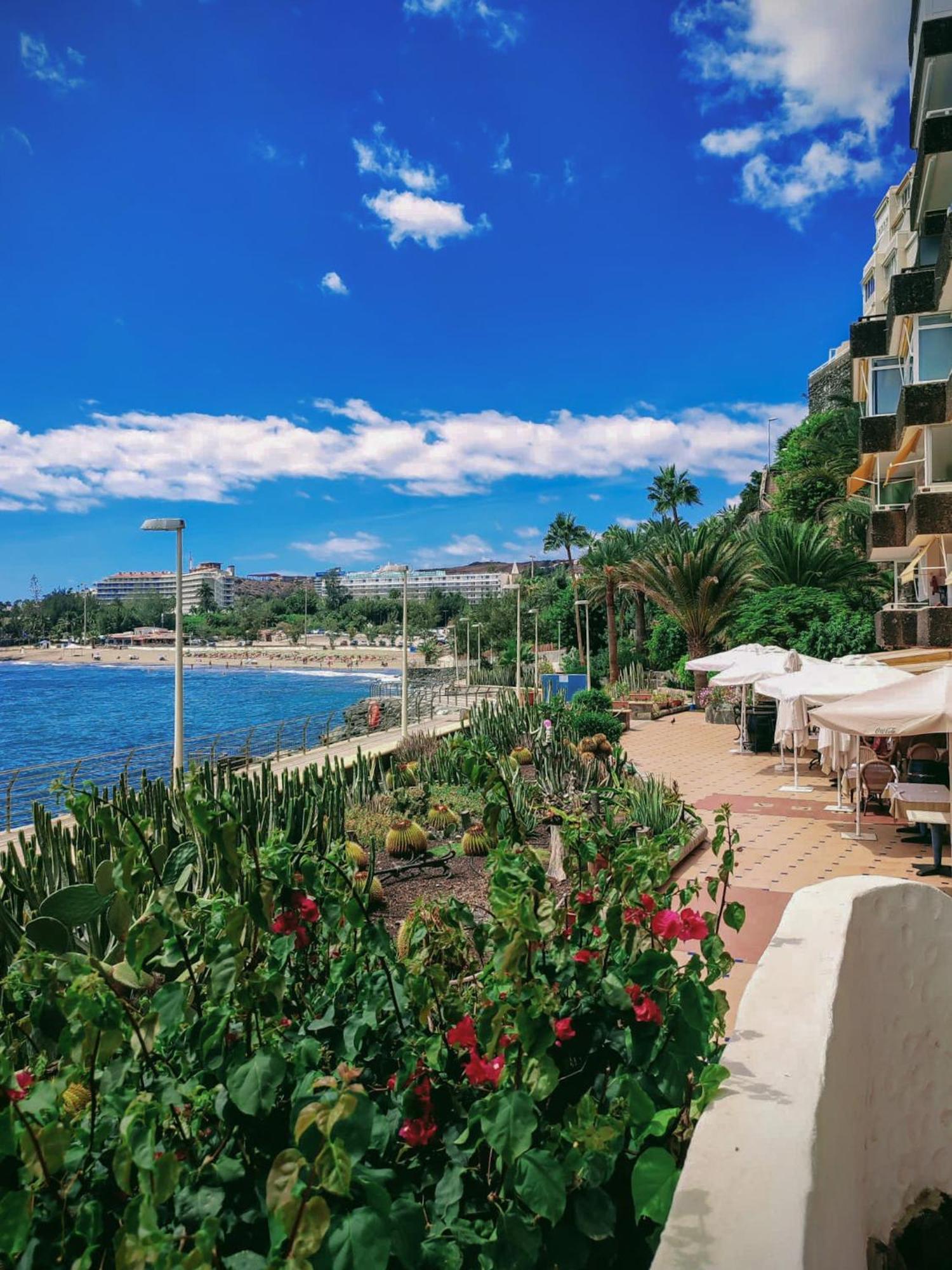 Apartment Ocean Maspalomas San Agustin (Gran Canaria)