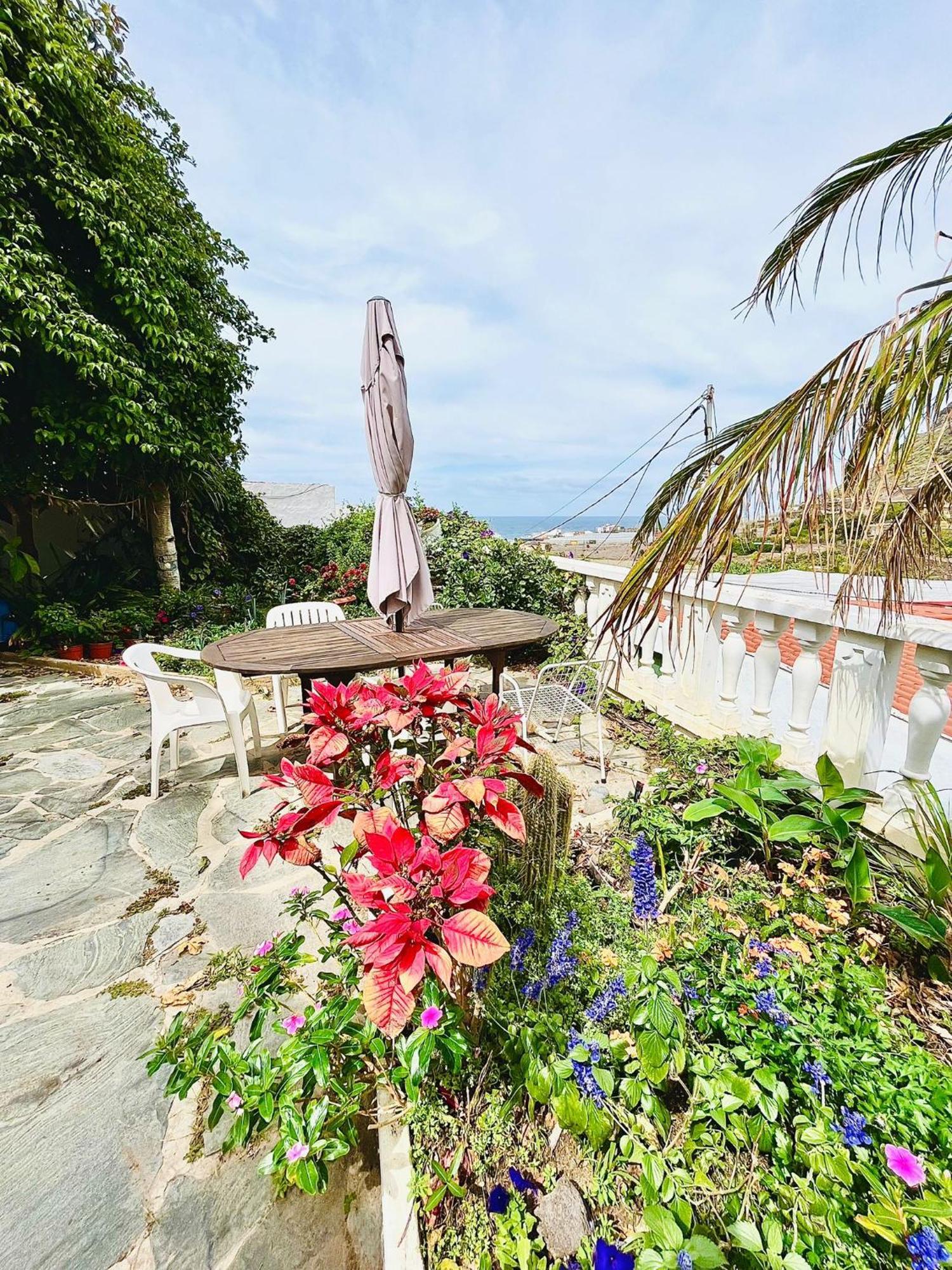 En Alquiler Apartamento Santa María de Guía de Gran Canaria
