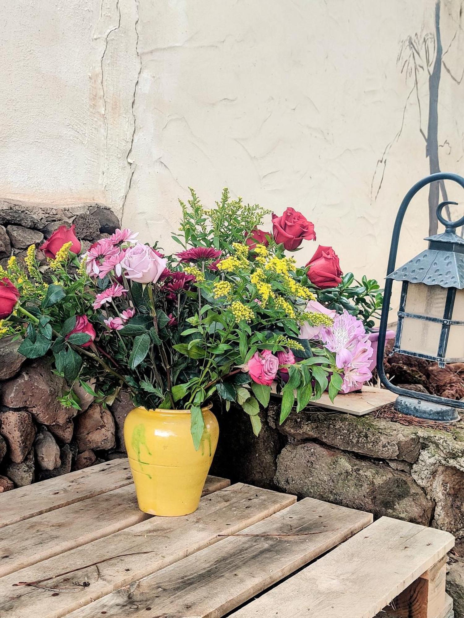Estudio Wabi-sabi Alloggio in famiglia