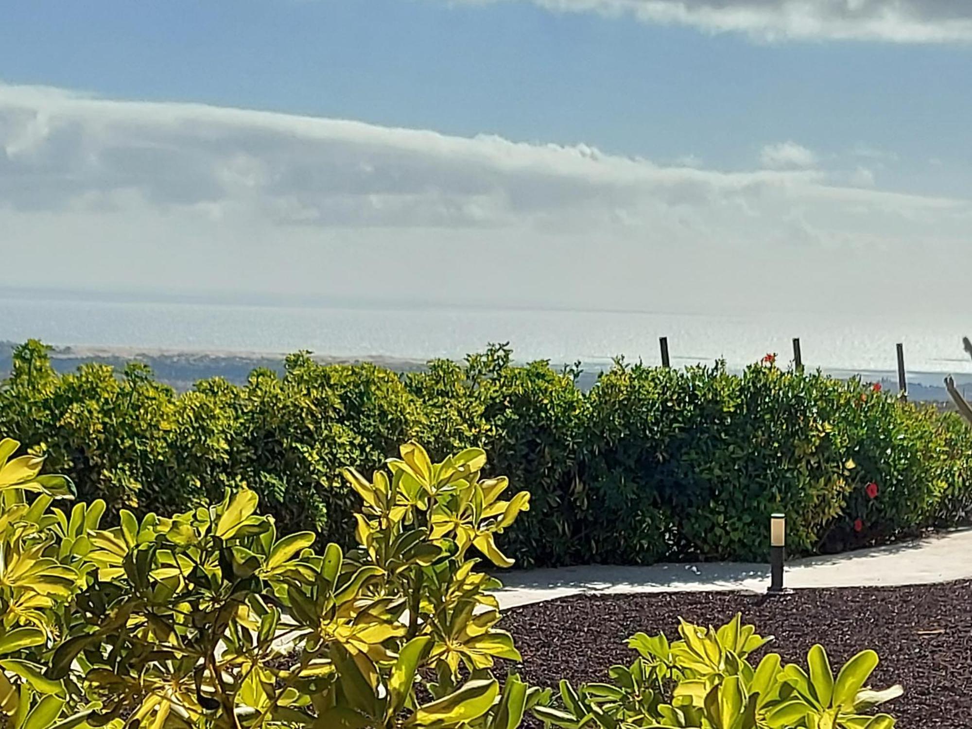 Country house The Black Horse Canarias - Adults Only *