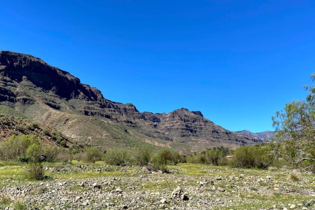 Apartamento Country Near Fataga *