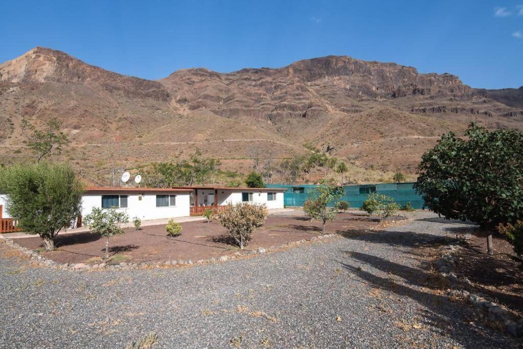Country Near Fataga * Artedara