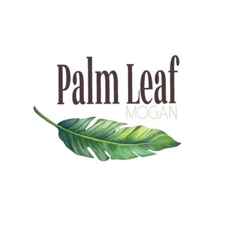 Palm Leaf Mogan Apartment Puerto De Mogan