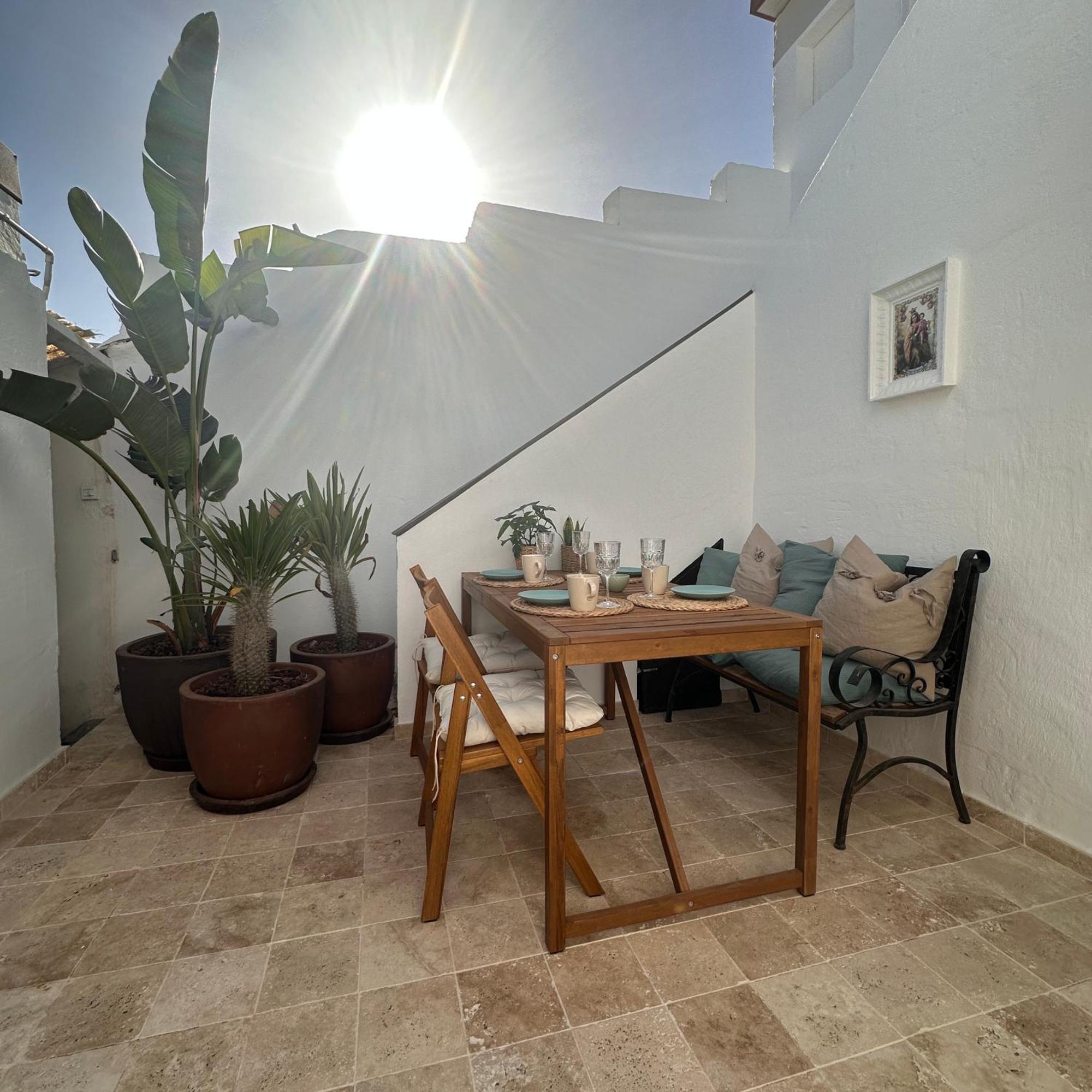 Palm Leaf Mogan Apartment