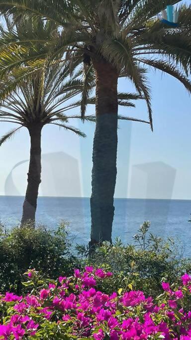 Bungalow Atlantic View *