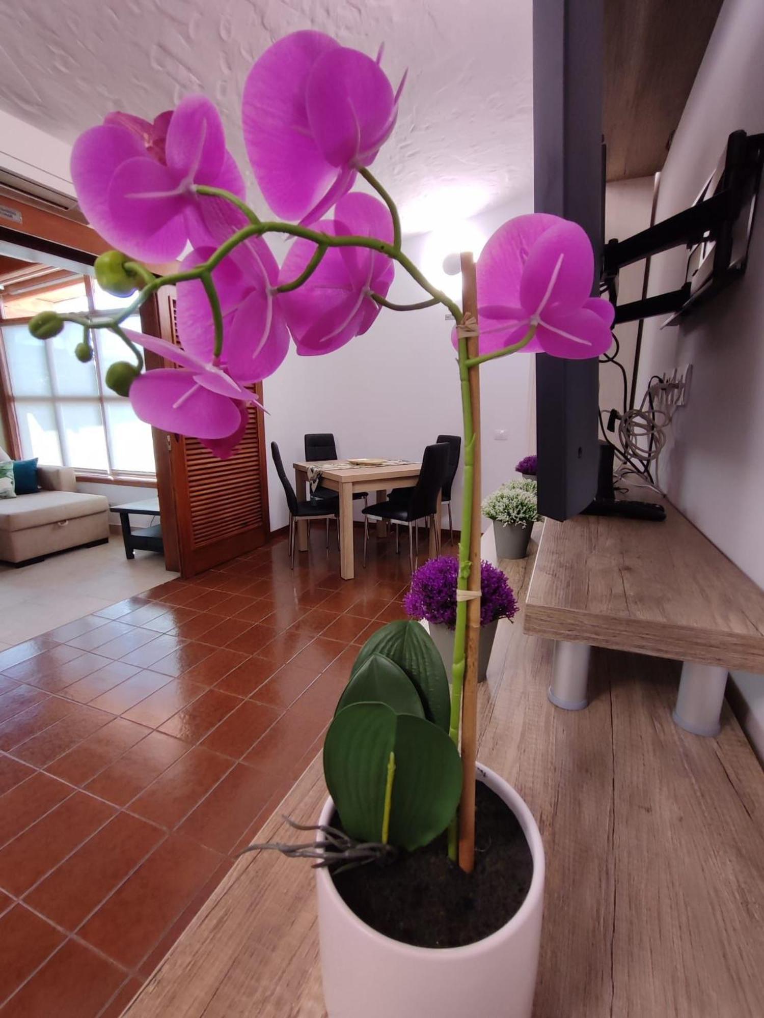 Tartanas Two Bedroom Сasa de vacaciones Playa del Inglés